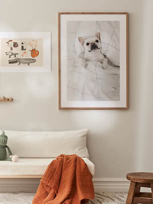 Gerahmtes Poster mit weißer Französischer Bulldogge im Bett an beiger Wand
