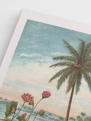 Nahaufnahme eines gerahmten tropischen Kunstdrucks mit Palme, blauem Himmel und rosa Blumen