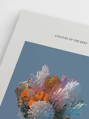 Poster mit dem Titel "Colours of the Reef" und buntem Korallenriff auf blauem Hintergrund