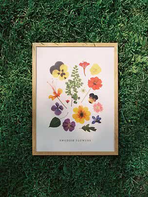 Indrammet blomsterplakat med pressede vilde blomster på hvid baggrund, liggende på grønt græs