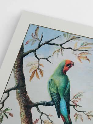 Inramad illustration av grön papegoja på gren med ljusa blad mot blå himmel