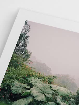 Angled photo print of a misty tropical landscape with large green leaves and red flowers