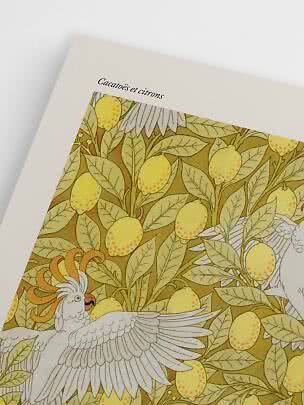 Poster with cockatoos and lemons in yellow and green tones, with French title at the top