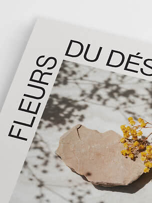 Nærbillede af plakat med sort tekst, beige sten og gule blomster