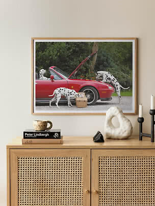 Indrammet foto af dalmatinere ved en rød cabriolet med åben motorhjelm