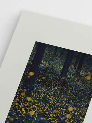 Primo piano di una stampa d’arte con foresta scura e punti di luce dorati su passe-partout bianco
