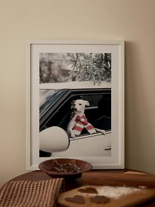 Indrammet foto af hvid hund med stribet halstørklæde i bilvindue