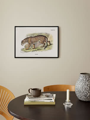 Illustration vintage encadrée d’un jaguar au-dessus d’une table sombre