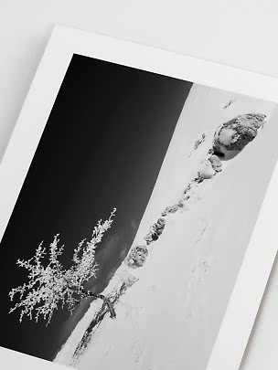 Stampa in bianco e nero con un albero brinato e rocce innevate in un paesaggio invernale