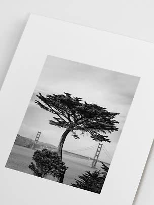Stampa in bianco e nero con albero piegato dal vento e Golden Gate sullo sfondo