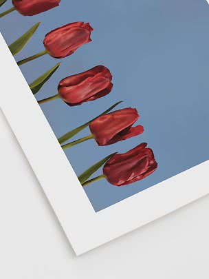 Stampa artistica con tulipani rossi su sfondo blu, con bordo bianco