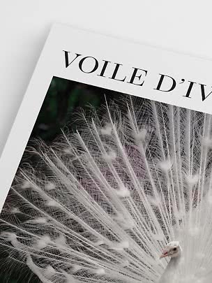 Gros plan d’une affiche d’art avec texte VOILE D’IV et un paon blanc à la queue déployée