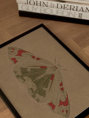 Trykket Red Moth i sort ramme liggende på et sildebensgulv ved siden af en stak store kunstbøger