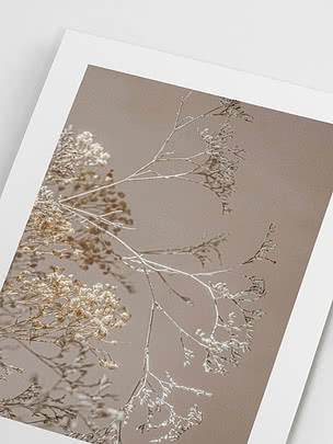 Close-up of the print's white border and the dried flowers on thin stems against warm beige
