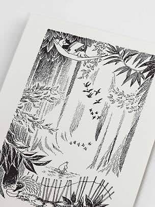 Illustrazione in bianco e nero di foresta con opossum su un ramo e ornitorinco in basso