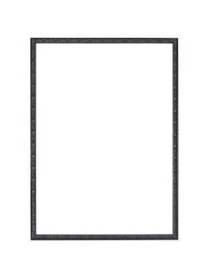 Black Versailles picture frame with ornate decorative border and wide beveled mirror glass