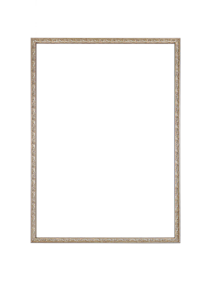 Rectangular wall mirror with a slim ornate gold frame