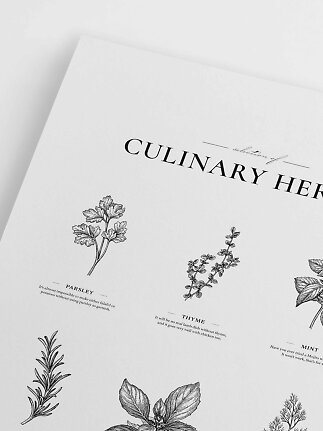 Plakat med botaniske urteillustrationer og teksten "Culinary Herbs" på hvid baggrund
