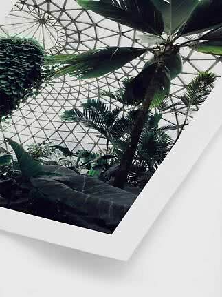 Tropiske planter og palme set nedefra under et geometrisk glastag