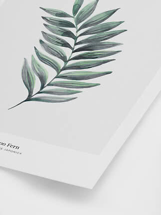 Botanisk plakat med malet grøn bregnegren på hvid baggrund