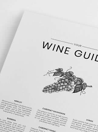 Plakat med teksten "Wine Guide", drueillustration og beskrivelser af druesorter på hvid baggrund