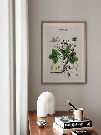 Indrammet botanisk plakat med vilde jordbær over et træbord med bøger, kop og hvid lampe