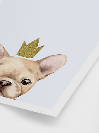 Aquarelposter met hondengezicht en glinsterende gouden kroon op lichtblauwe achtergrond