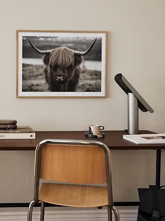 Gerahmtes Foto eines Highland-Rinds über einem Schreibtisch mit Stuhl, Lampe, Büchern und Tasse