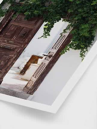 Puerta antigua de madera en pared blanca con enredaderas verdes sobre la entrada