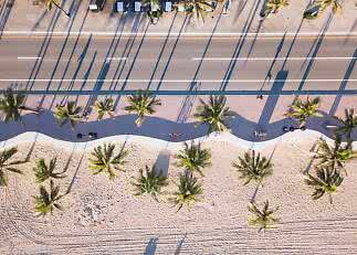Aerial view of palm trees along a beach promenade and road with long shadows on the sand