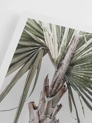 Poster met close-up van palmbladeren en stam met lichte rijplaag op een lichte achtergrond