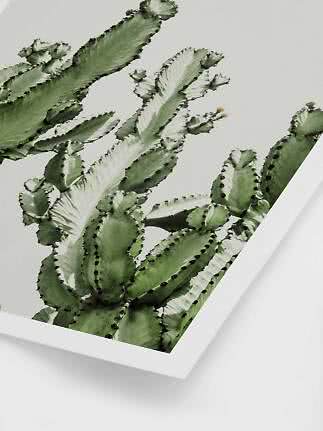 Stampa botanica incorniciata con cactus verde su sfondo chiaro