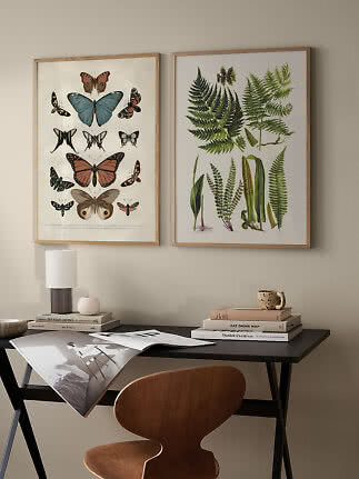 To indrammede botaniske og sommerfugleplakater hænger over et skrivebord i træ og sort metal.