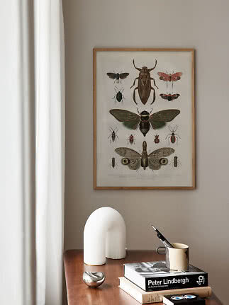 Framed vintage insect print above a wooden table with books, vase and mug