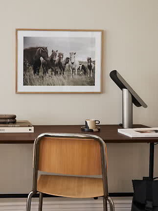 Indrammet foto af heste over et skrivebord med stol, lampe, bøger og kop