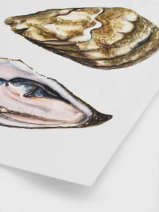 Watercolor illustration of two oysters, one closed and one open, on a white background
