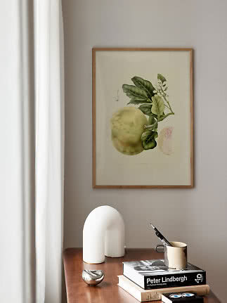 Inramad botanisk citrusbild ovanför träbord med böcker, vas och mugg