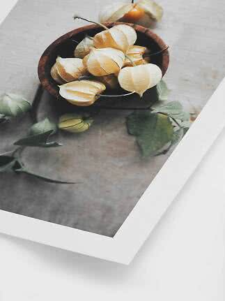 Træskål med gyldne physalis og grønne blade på grå baggrund