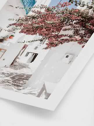White alley with stone floor and pink flowers growing along the wall