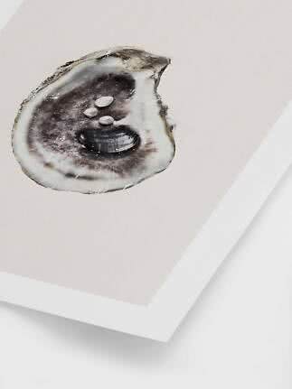 Illustration of an opened oyster with pearls on a light background