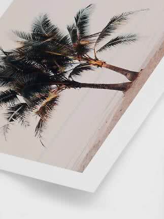 Angled wall art print of palm trees by the beach in soft warm tones