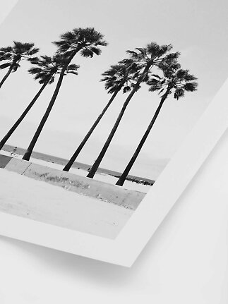 Black-and-white photo print of palm trees by the beach, angled with a white border