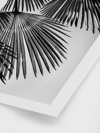 Black and white poster with close-up of palm leaves in a graphic tropical design