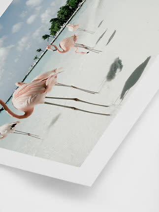 Angled framed photo of pink flamingos standing in shallow water by a tropical beach