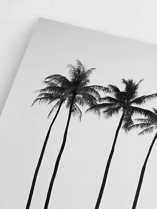 Black-and-white poster with tall palm trees against a light sky