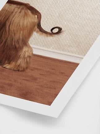 Langhåret brun hund bagfra med krøllet hale på brun måtte ved en mønstret væg