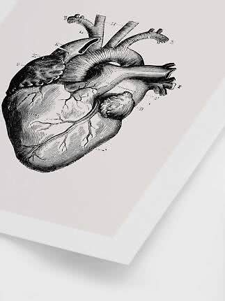 Black and white anatomical illustration of a human heart on a white poster