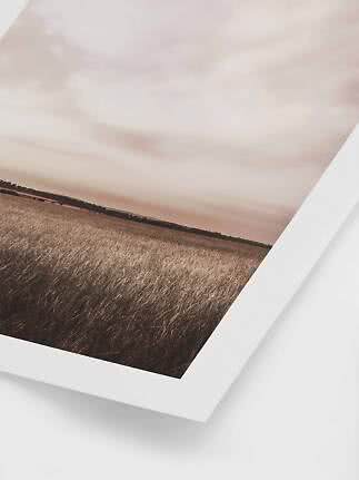 Photo de paysage encadrée avec herbe dorée sous un ciel doux et nuageux