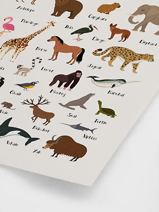 Illustrated animal poster with labeled animals including giraffe, horse, jaguar, elephant, narwhal and yak.