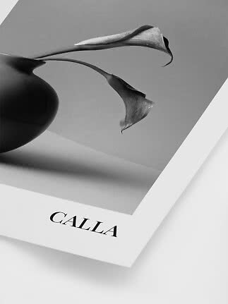 Black-and-white poster with two calla lilies in a dark vase and the text CALLA